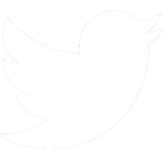 twitter icon white